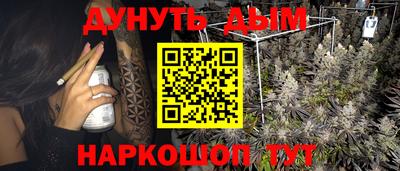 дживик Новозыбков