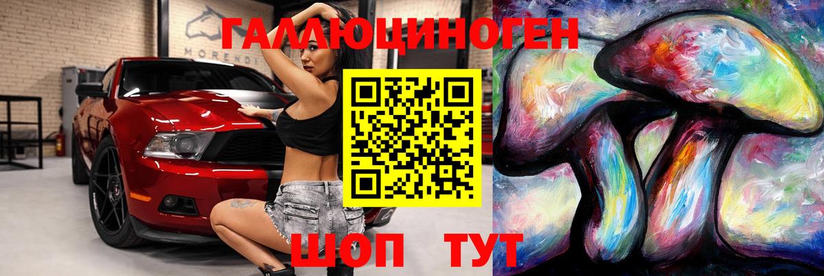 Псилоцибиновые грибы Psilocybe Ухта
