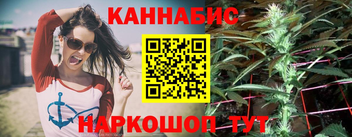 Бошки Шишки семена Ухта